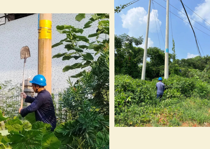 1754031971.png 6.png