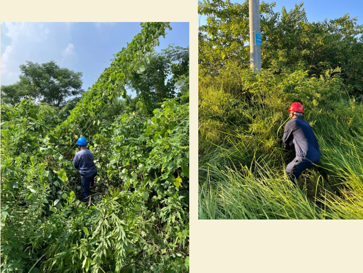 1754032011.png 7.png