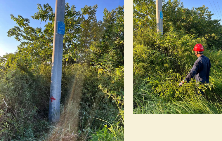 1754032500.png 15.png