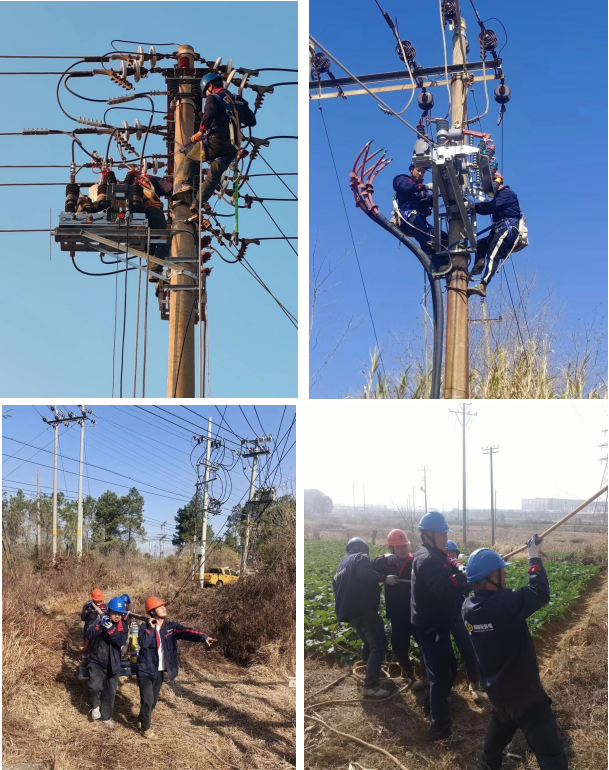 1772524499.png 图片3.png