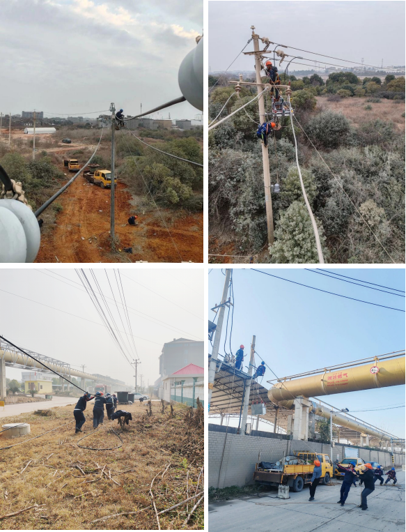 1772524526.png 图片4.png