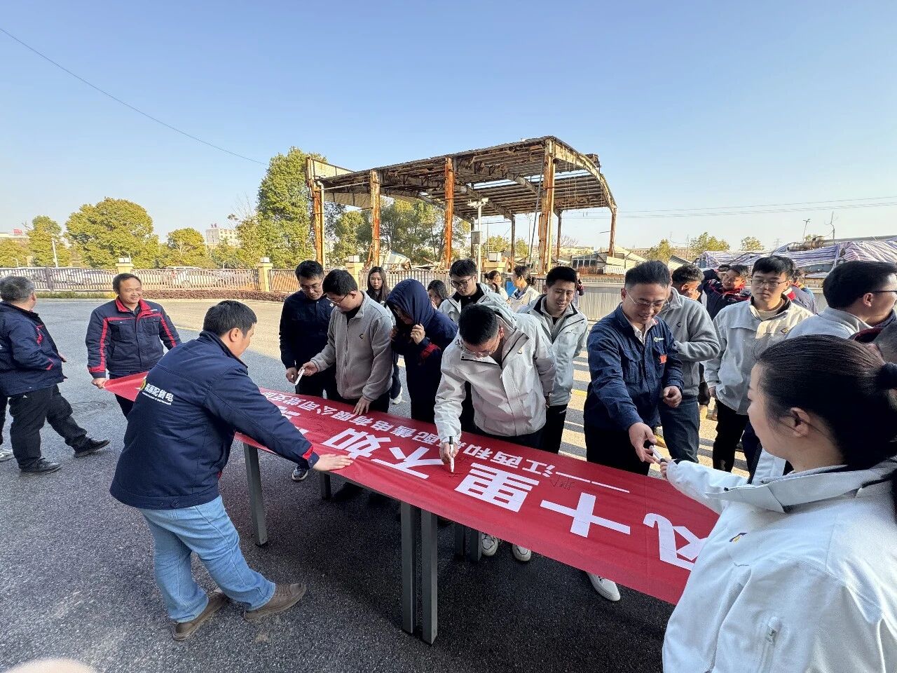 1773989011.jpg 5.jpg