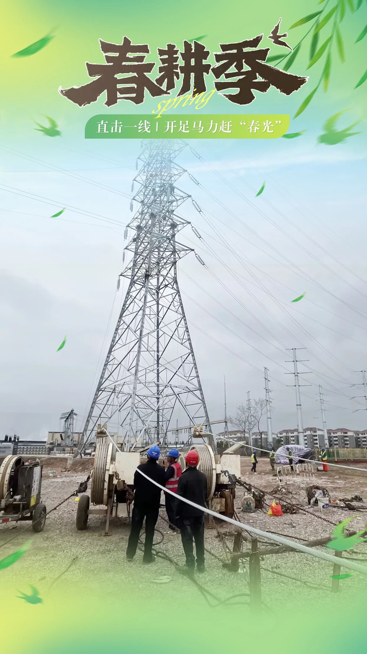 1773990780.jpg 2.jpg