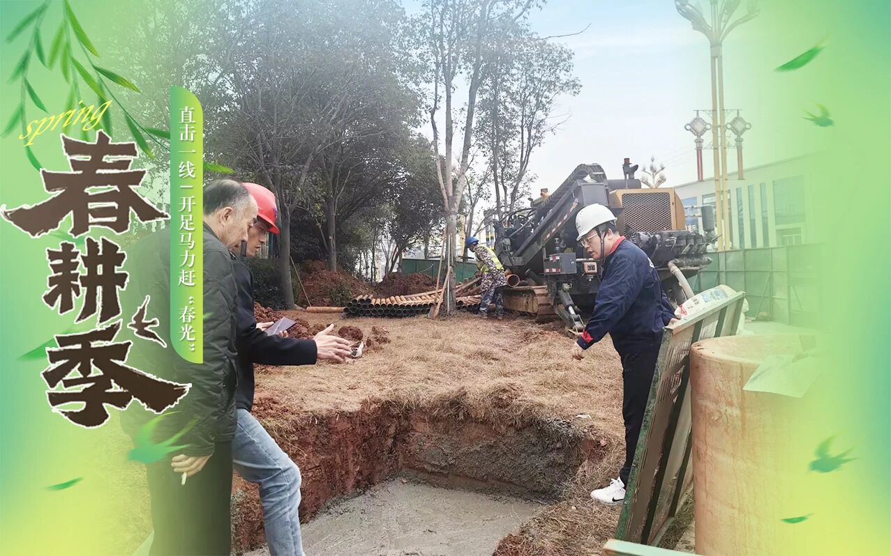 1773990838.jpg 3.jpg