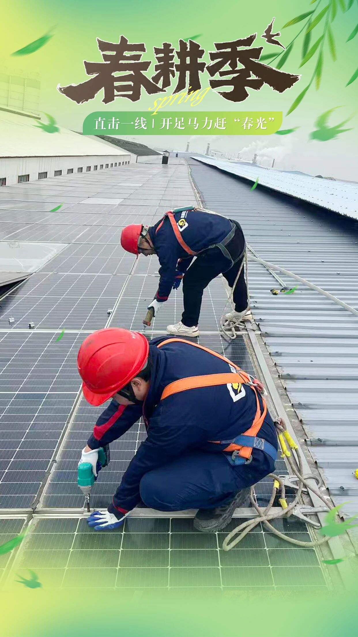 1773990914.jpg 5.jpg