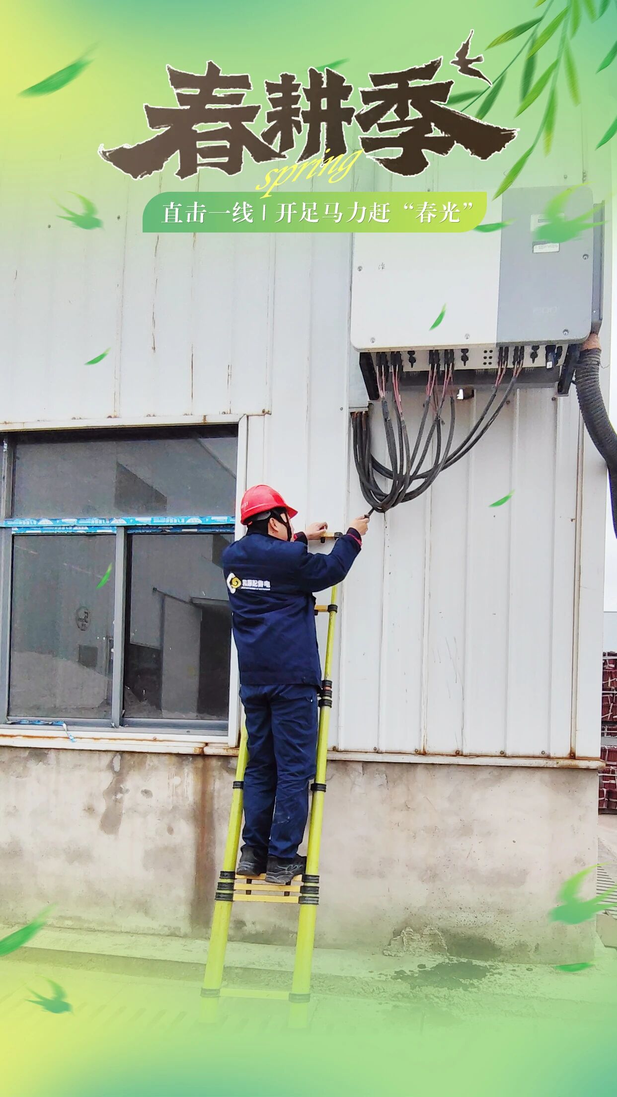 1773990931.jpg 6.jpg