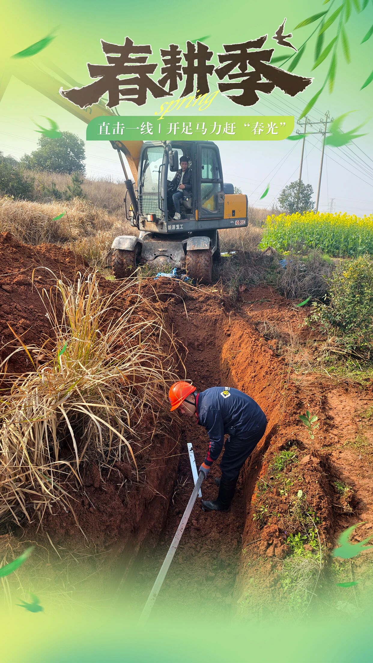 1773991026.jpg 8.jpg