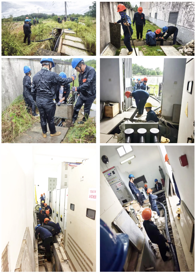 1789112495.png 7.png